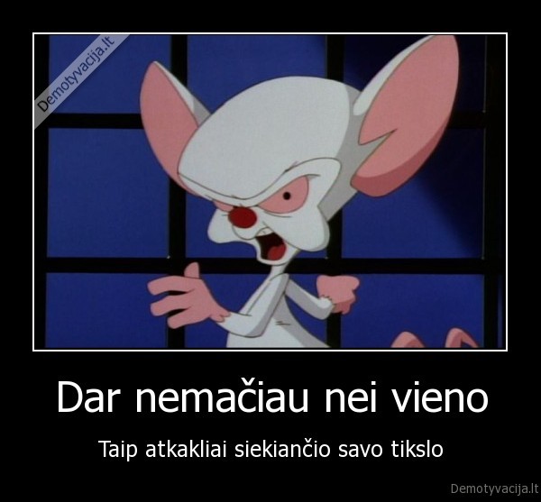 makaule,brain,pinkis, ir, makaule,tikslas