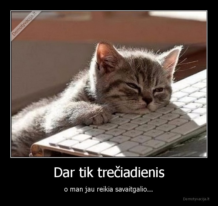 savaitgalis,darbas,treciadienis