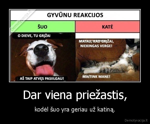 Dar viena priežastis,