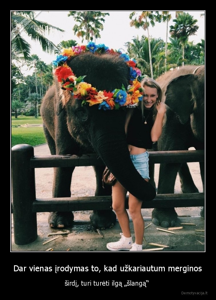 dramblys,mergina,slangas,ilgas