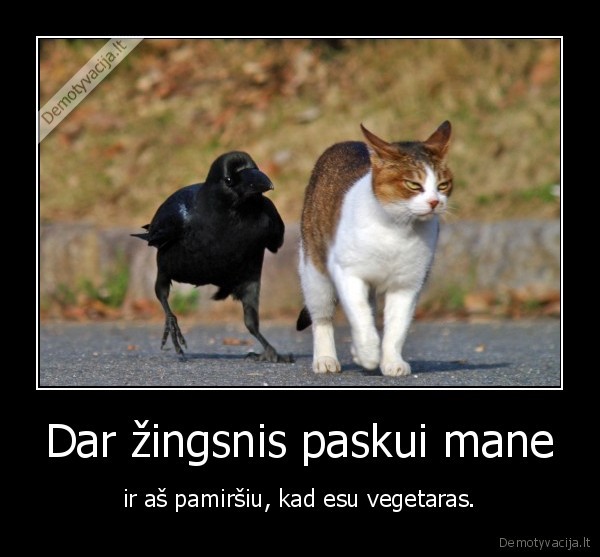 Dar žingsnis paskui mane