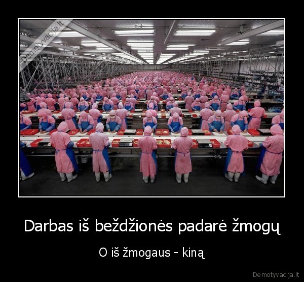 Darbas iš beždžionės padarė žmogų