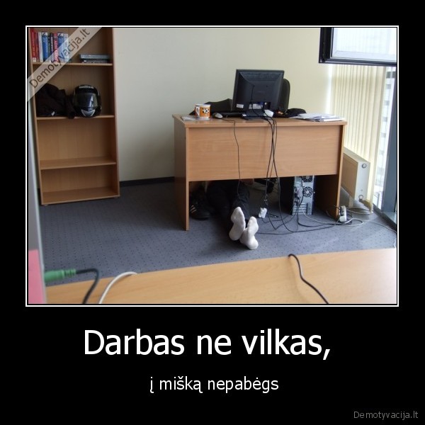 darbas,vilkas,miskas