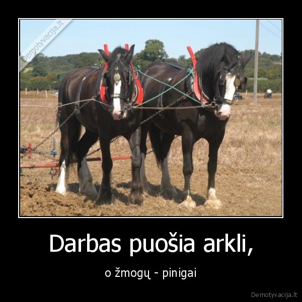 Darbas puošia arkli,