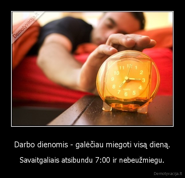 keltis,i,mokykla,nervina,noriu,miego,nezadink,eik,salin,atstok,laikrodis,miegot
