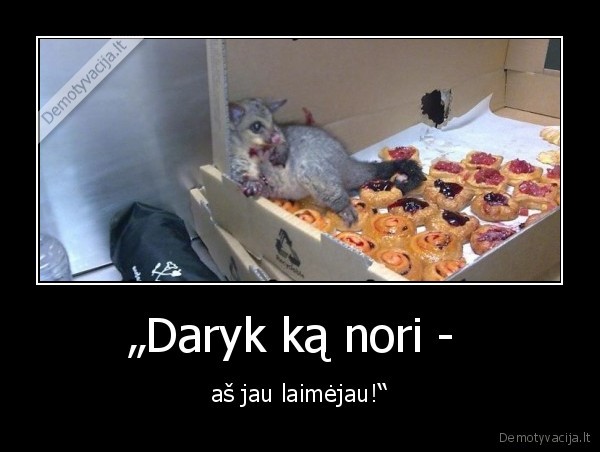 sausainiai,ziurkenas,laimejo,daryk