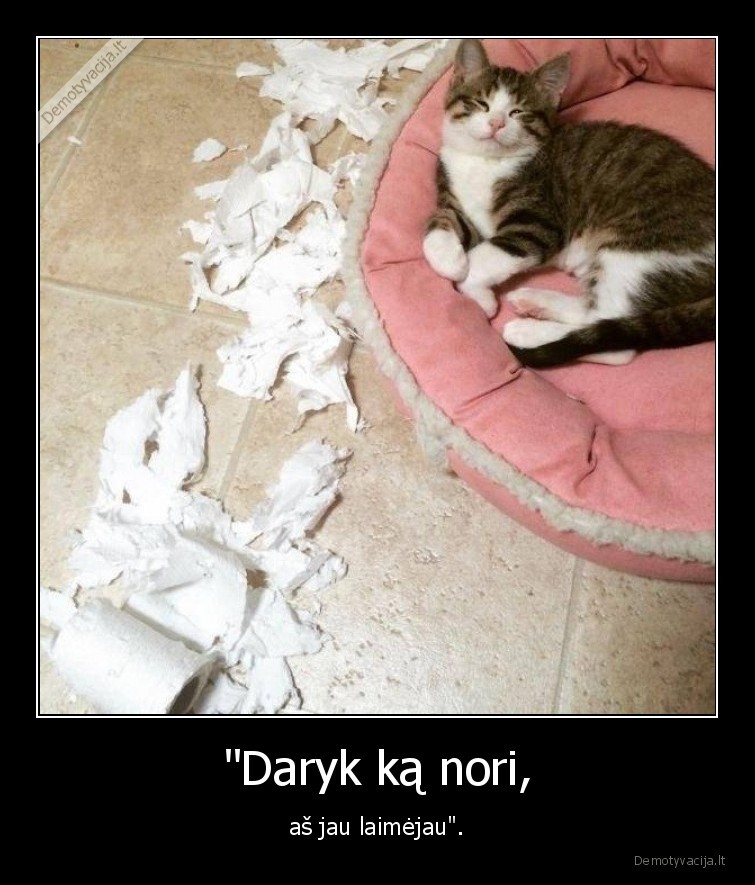 kate,katinas,kaciukas,laimejimas