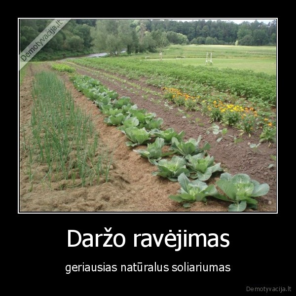 kaimas,darzas, soliariumas