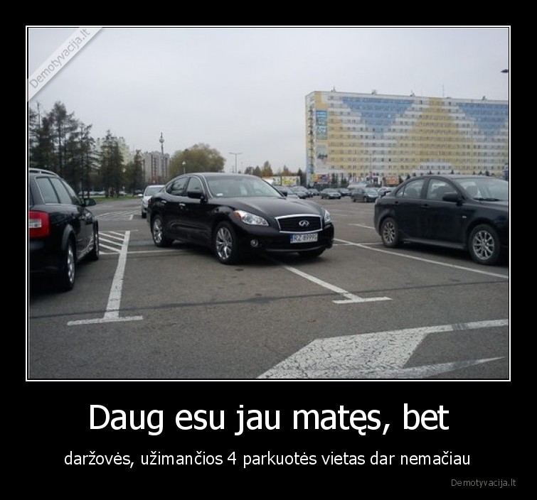 darzove,parkuotis,parkuojasi,masina