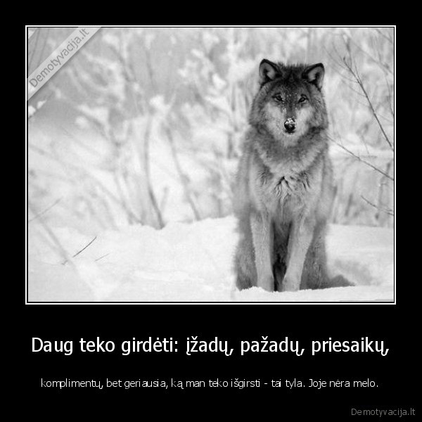 Daug teko girdėti: įžadų, pažadų, priesaikų,