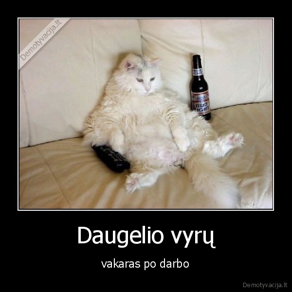 kates,darbas,vyrai,vakaras