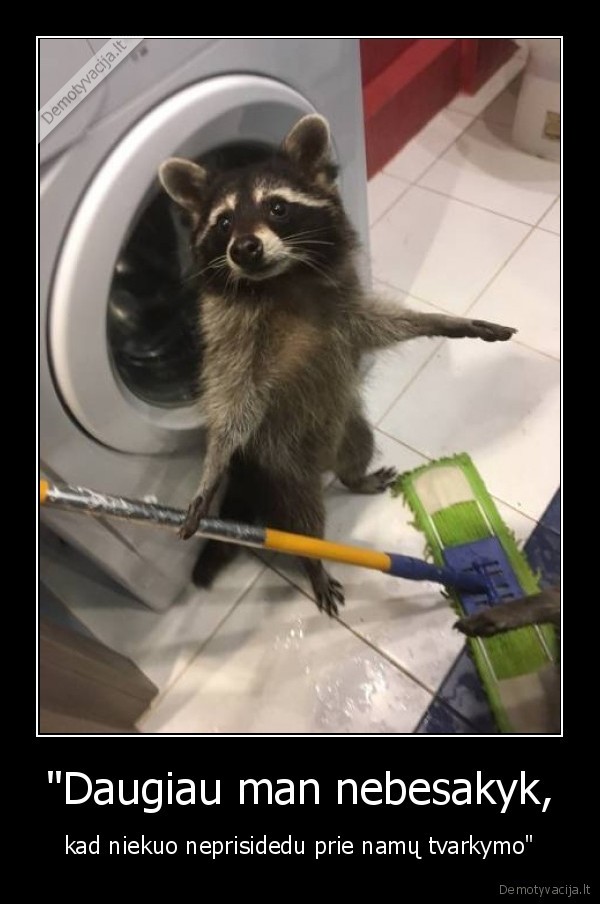 namai,tvarkymas,meskenas