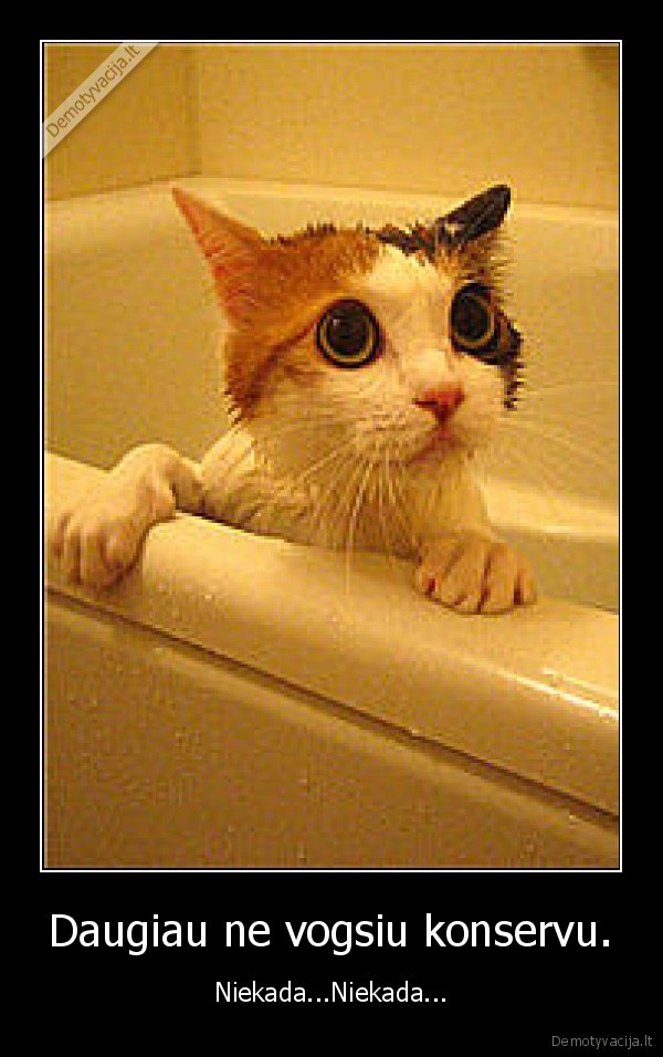 Daugiau ne vogsiu konservu.