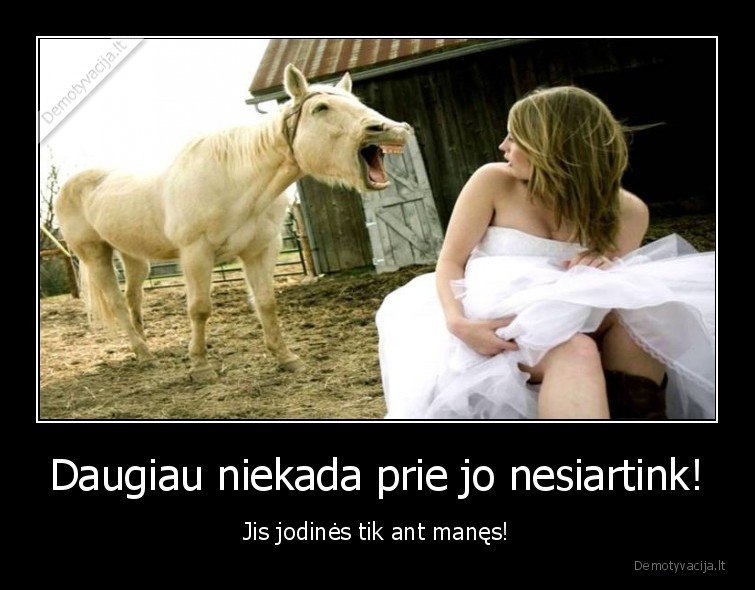 arklys,mergina,blondines