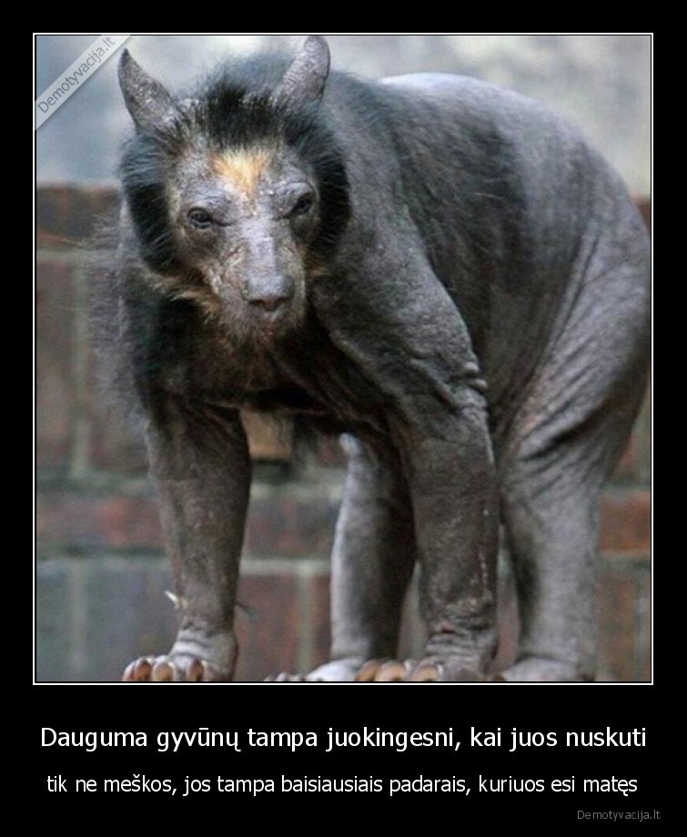 meska,be, kailio,baisu,gyvunas