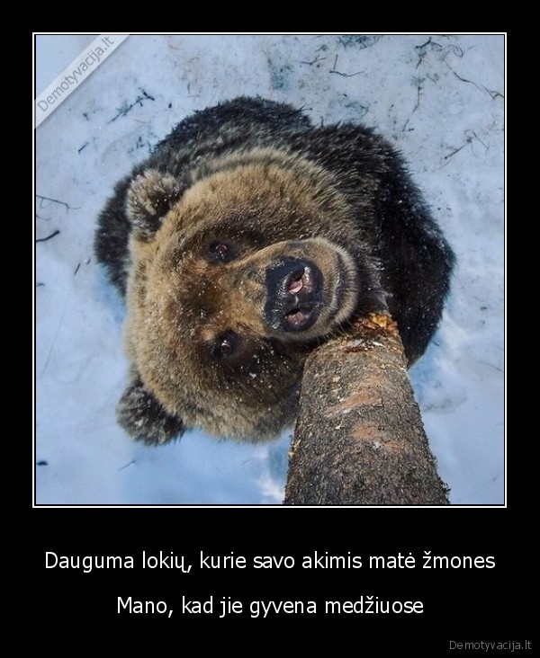 zmogus, medyja,bega, nuo, meskos