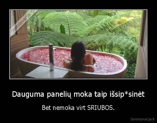 paneles,sriuba,virti