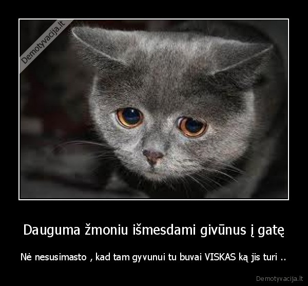 Dauguma žmoniu išmesdami givūnus į gatę