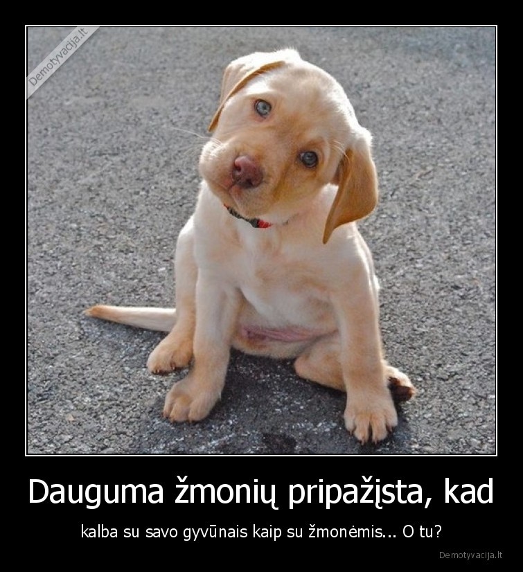 suo,kalbeti,kaip,su,zmogumi