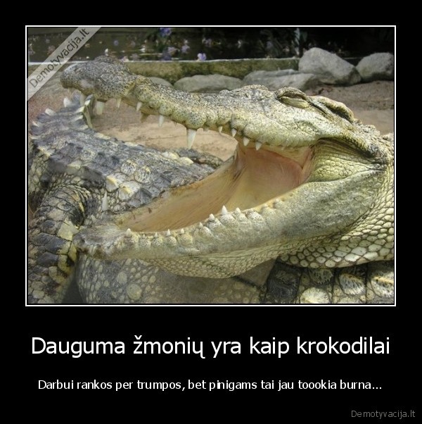 krokodilas,apetitas, pinigams,darbas