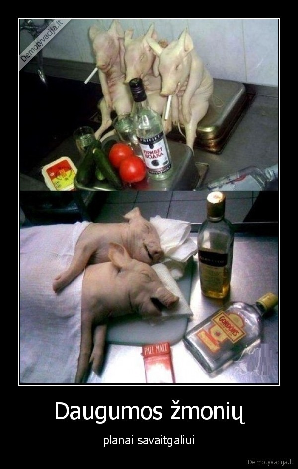 savaitgalis,parsiukai,kriu, kriu