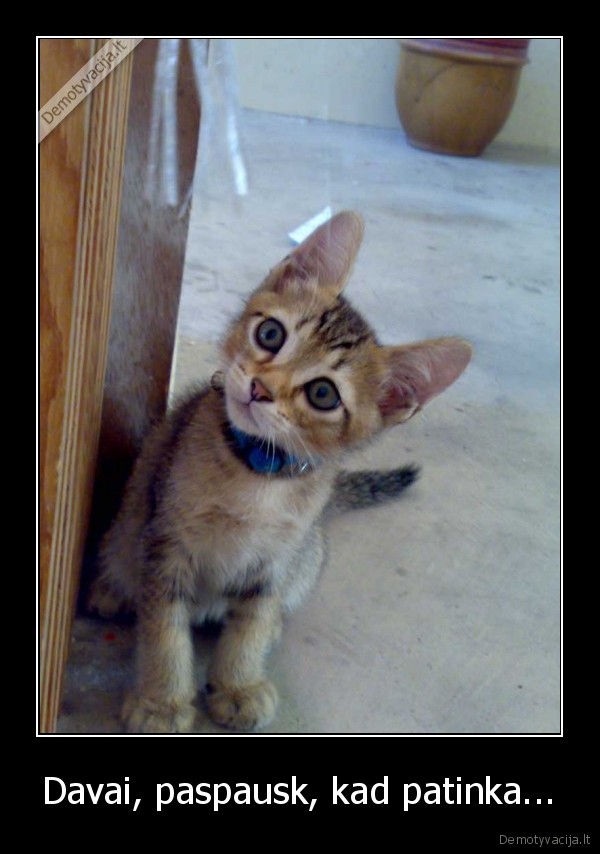 Davai, paspausk, kad patinka...