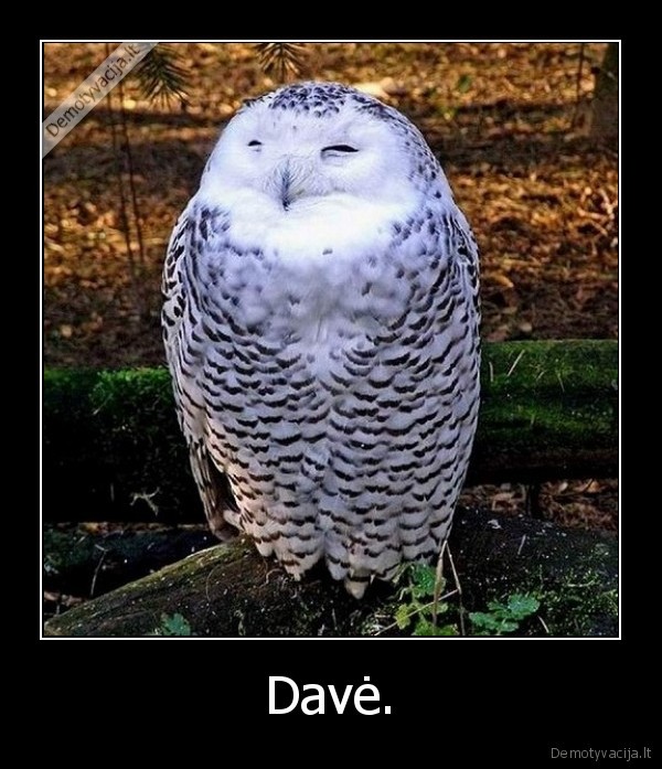 Davė.