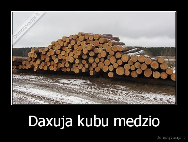 Daxuja kubu medzio