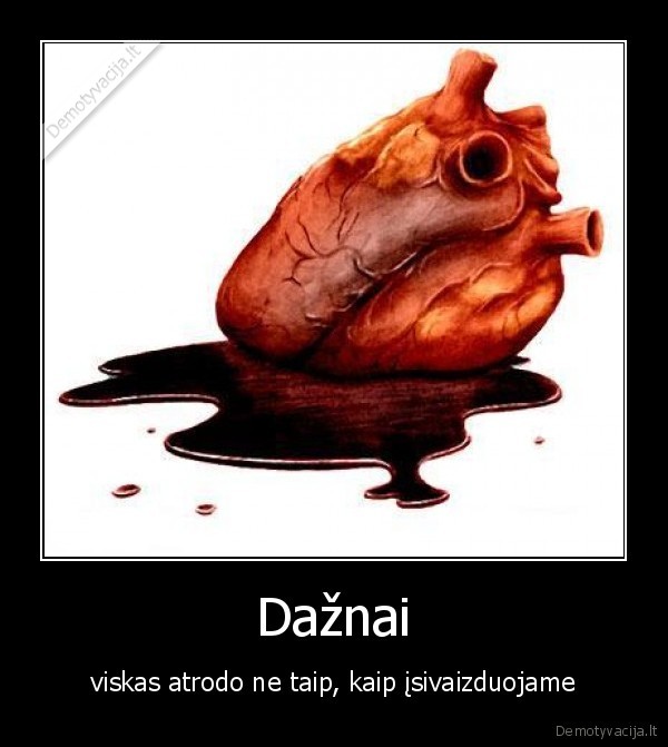 sirdis,kraujas,vaizduote