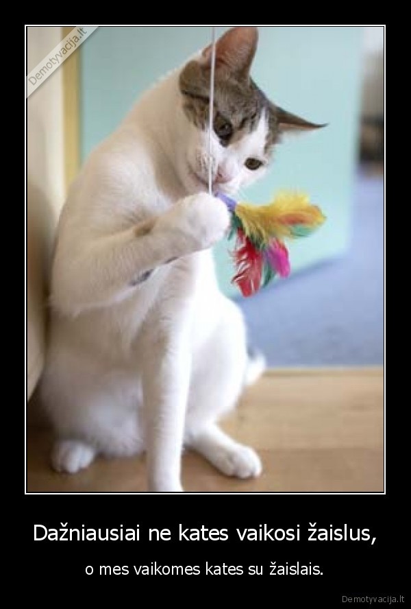 kates,zaidzia,vejasi,vaikomes,zaislas