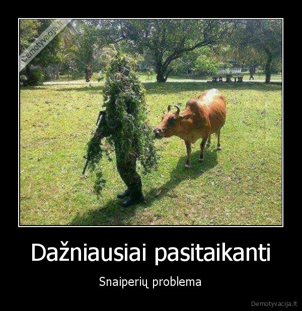 karves,snaiperio, masuote