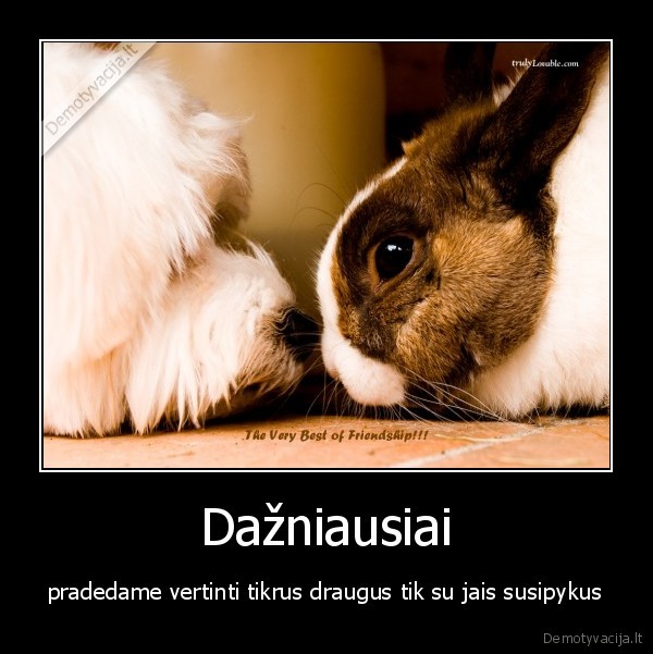 draugai,draugyste