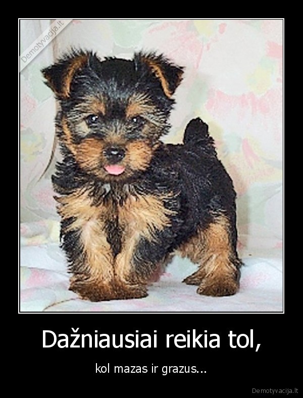 Dažniausiai reikia tol,