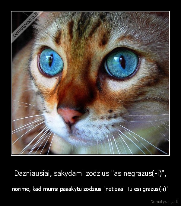 kubilius, sako,kad, jo, plaukai, grazus,nors, tokie, nera