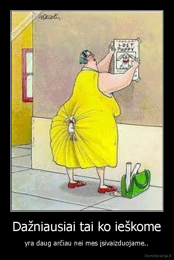 Dažniausiai tai ko ieškome