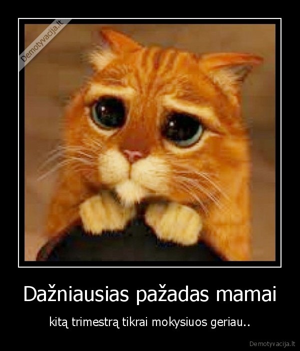 obama, kepa, zefyrus