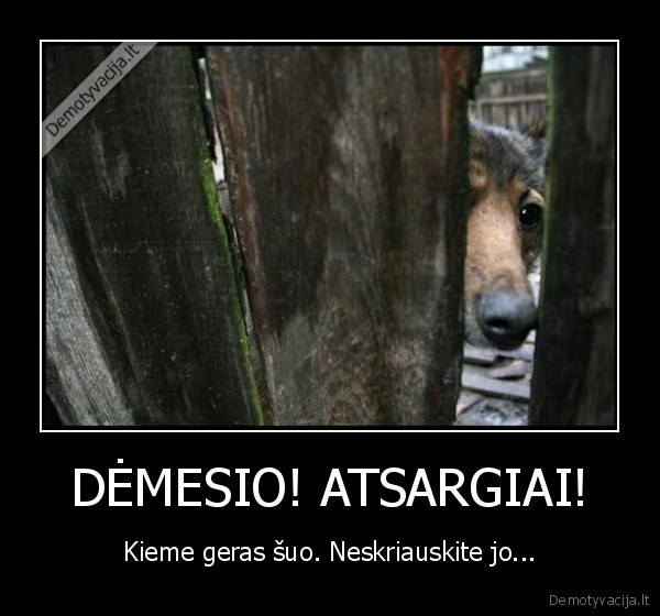 demesio,atsargiai,kieme, geras, suo,geras, suo,neskriauskite, jo