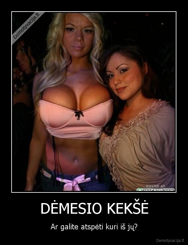 DĖMESIO KEKŠĖ