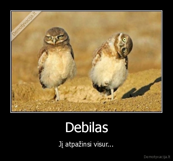Debilas