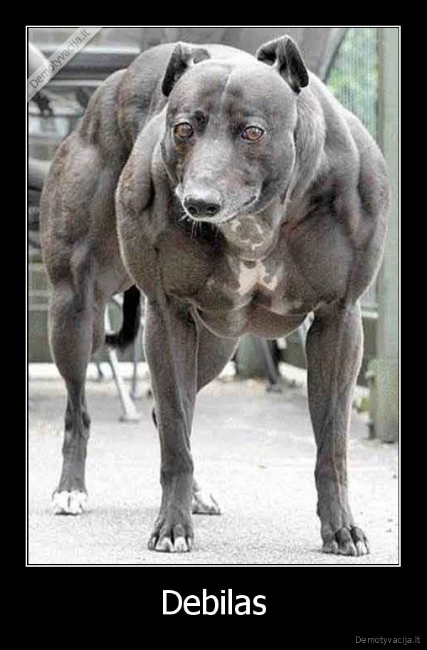 debilai