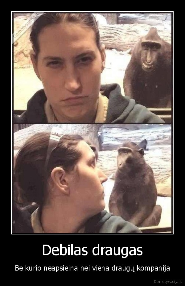 draugas,debilas,bezdzione, pozuoja