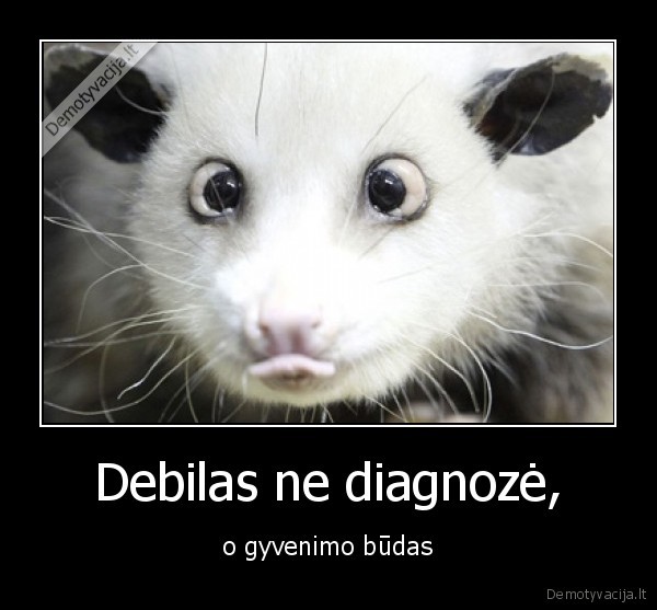 Debilas ne diagnozė,