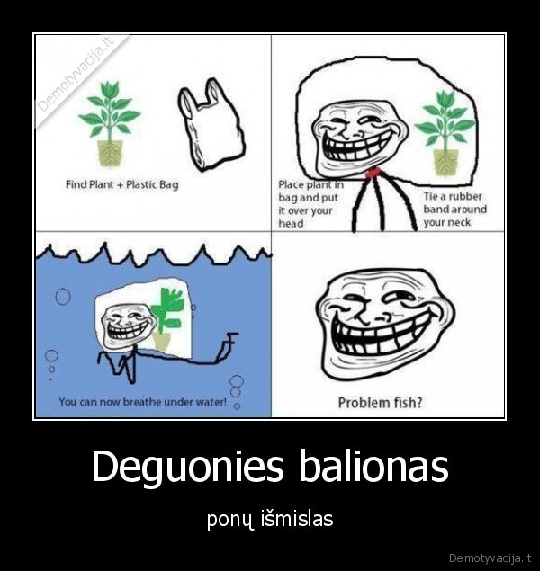 tik, trolis, taip, sugeba