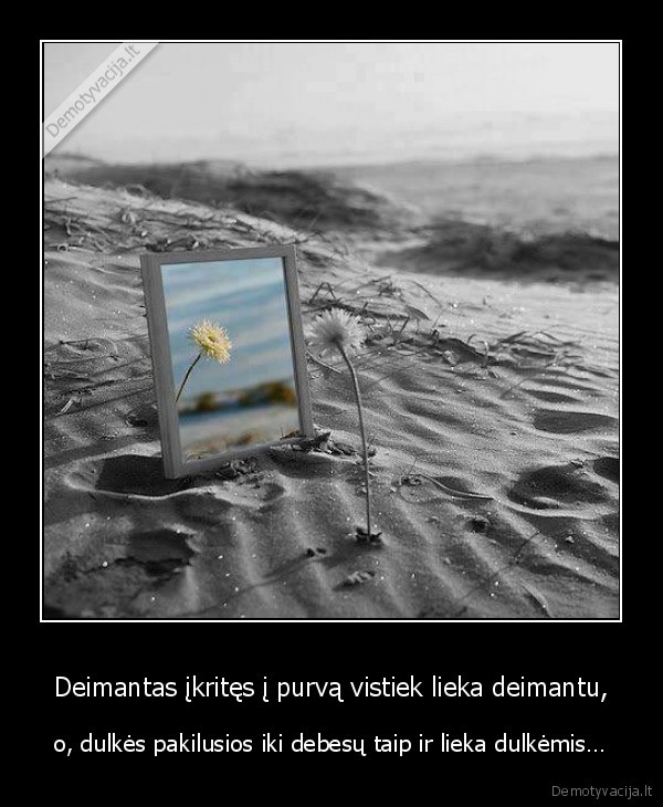 dulkes,deimantas,dangus