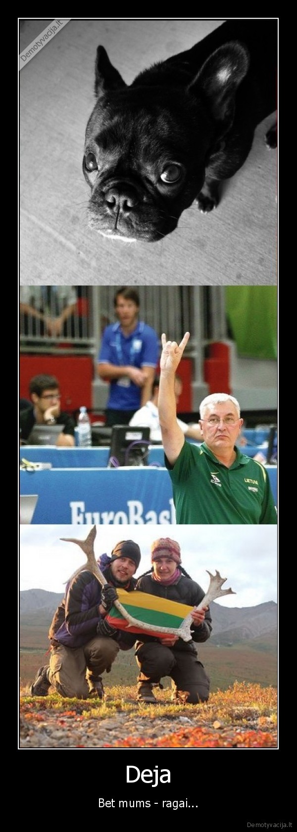 lietuva, prancuzija,finalas,sidabras