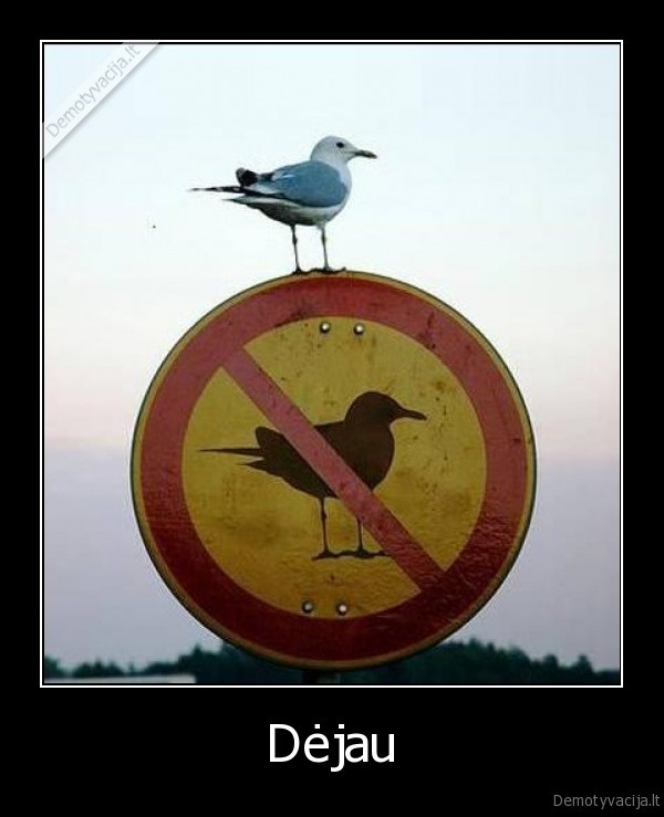 kitas,dejau,kiras,dejau, ant, zenklo