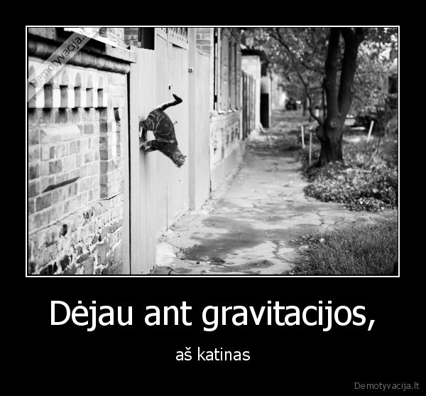 katinas,gravitacija