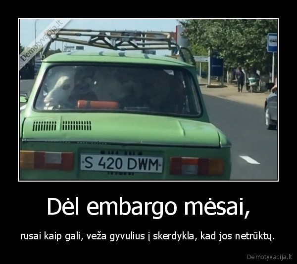 karve, zaporozietyje