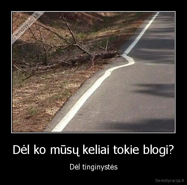 Dėl ko mūsų keliai tokie blogi?