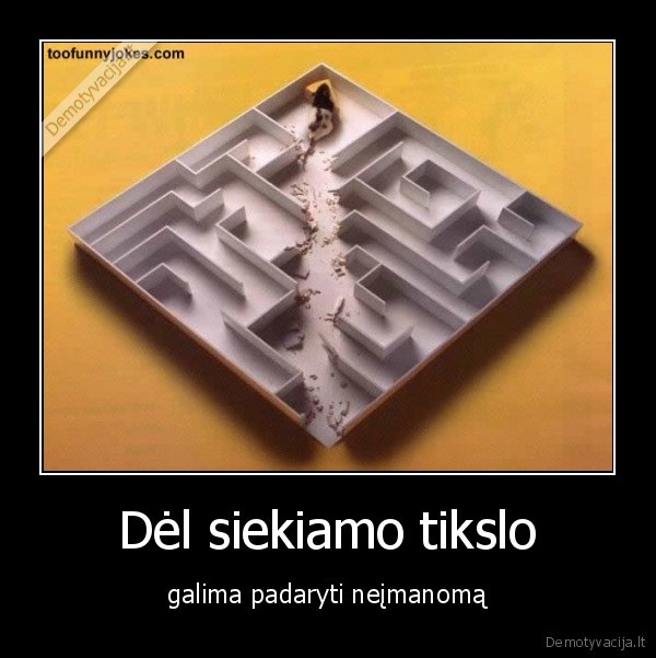 pele,labirintas,tikslas